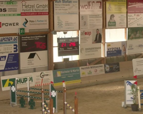 Reitturnier Schaffhausen 2023