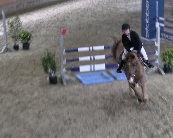 Reitturnier Ratingen 2023