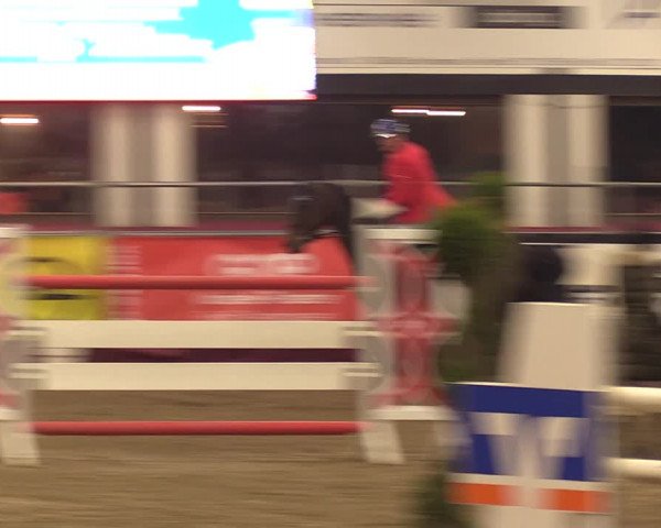 Reitturnier Vlotho-Exter 2023