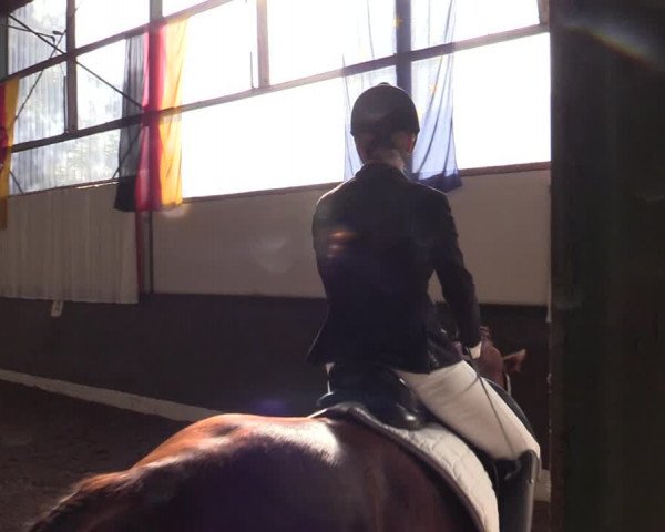 Reitturnier Bad Essen 2021