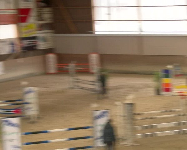 Reitturnier Schaffhausen 2023