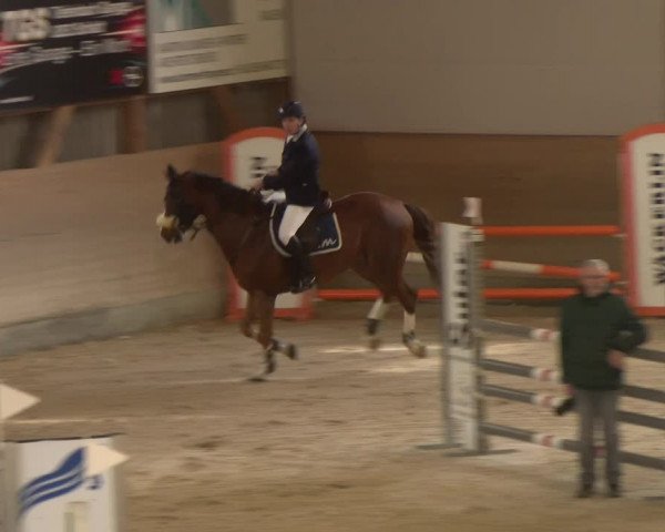 Reitturnier Schaffhausen 2023