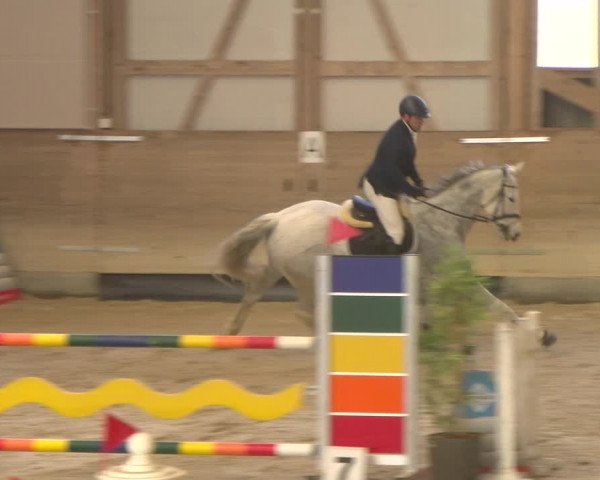 Reitturnier Schaffhausen 2023