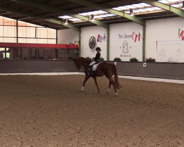 Reitturnier Bad Essen 2021
