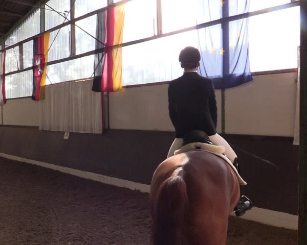 Reitturnier Bad Essen 2021