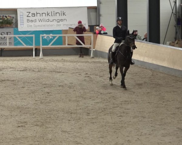 Reitturnier Borken 2023