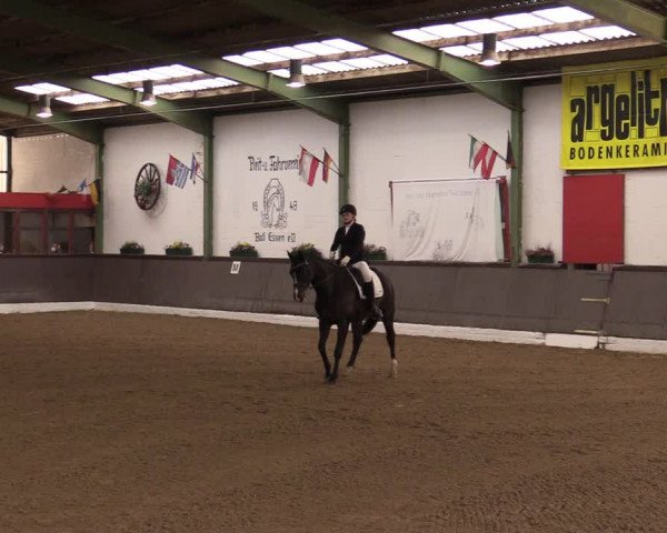 Reitturnier Bad Essen 2021