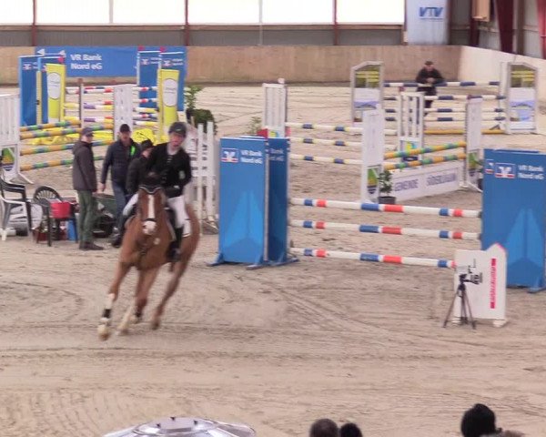 Reitturnier Süderlügum 2023
