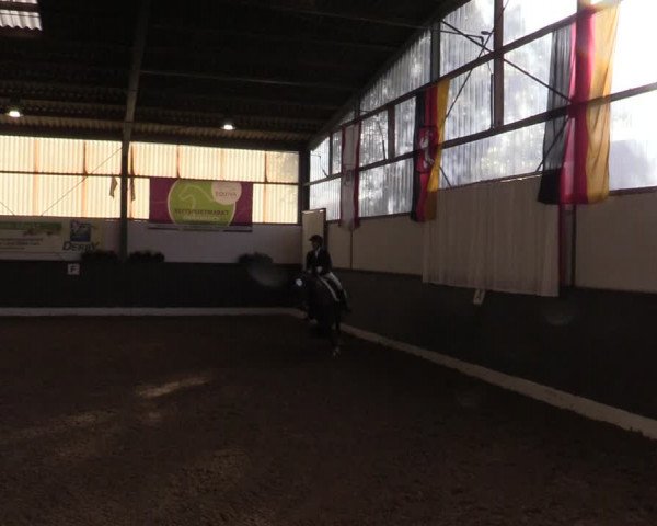 Reitturnier Bad Essen 2021