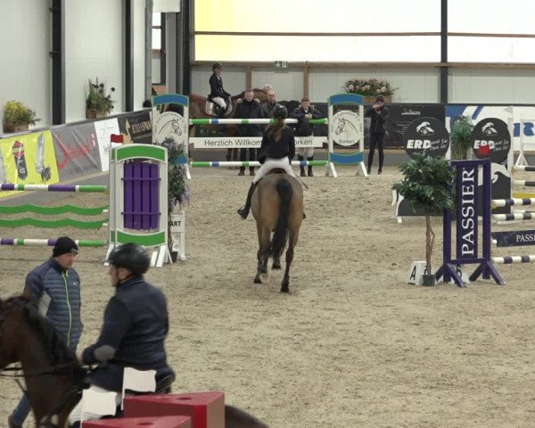 Reitturnier Borken 2023
