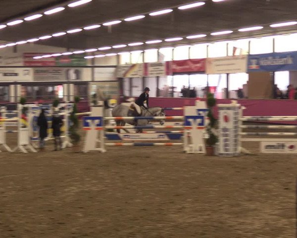 Reitturnier Vlotho-Exter 2023