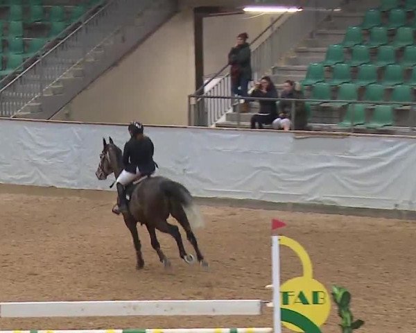 Reitturnier Kreuth 2023