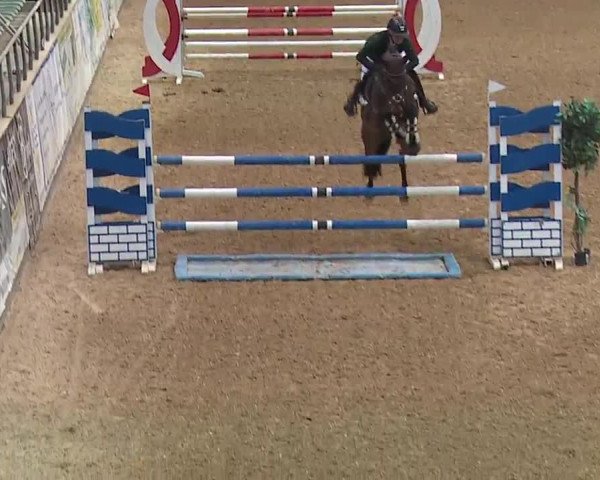 Reitturnier Kreuth 2023