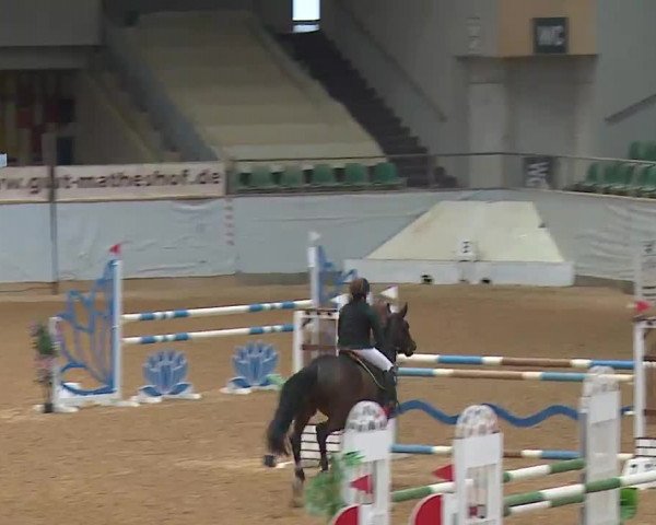 Reitturnier Kreuth 2023
