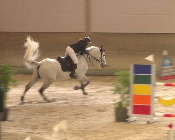 Reitturnier Schaffhausen 2023