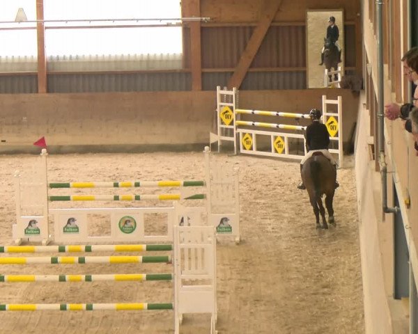 Reitturnier Schaffhausen 2023