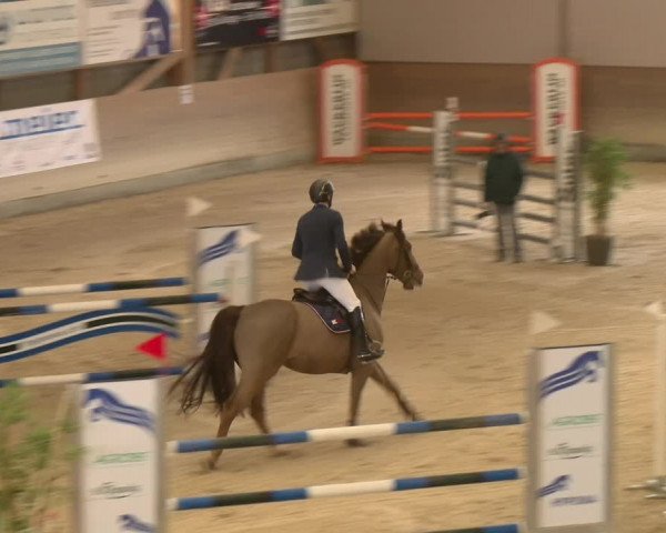 Reitturnier Schaffhausen 2023
