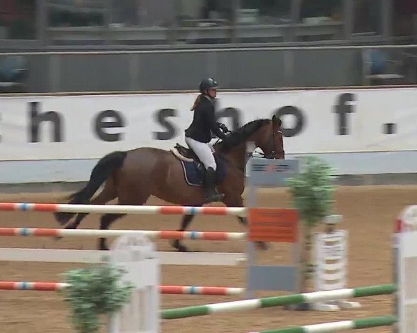 Reitturnier Kreuth 2023