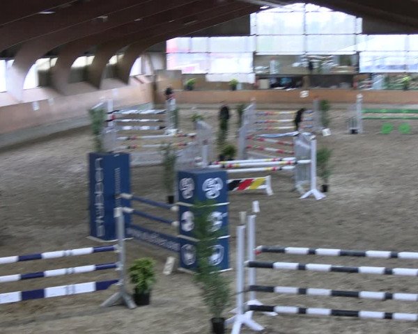 Reitturnier Ratingen 2023