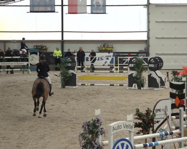 Reitturnier Borken 2023