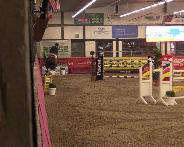 Reitturnier Vlotho-Exter 2023