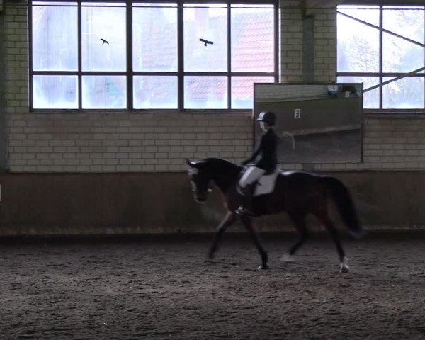 Reitturnier Hildesheim-Marienburg 2023
