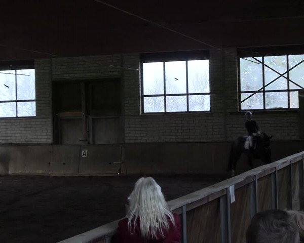 Reitturnier Hildesheim-Marienburg 2023