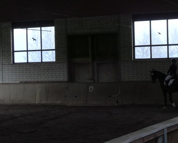 Reitturnier Hildesheim-Marienburg 2023