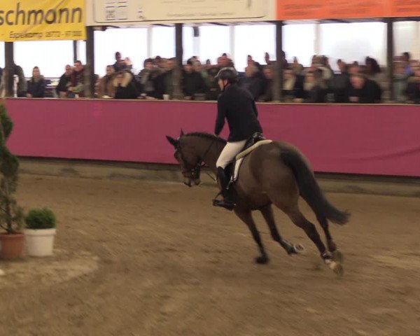 Reitturnier Vlotho-Exter 2023