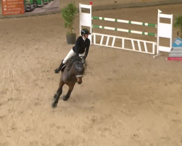 Reitturnier Schaffhausen 2023