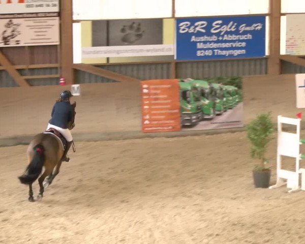 Reitturnier Schaffhausen 2023