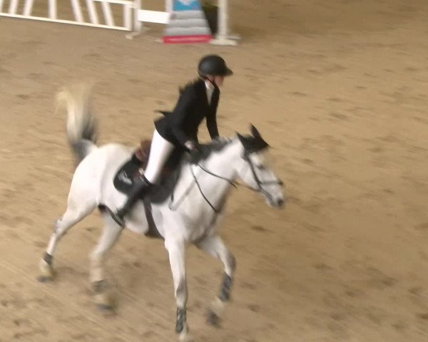 Reitturnier Schaffhausen 2023