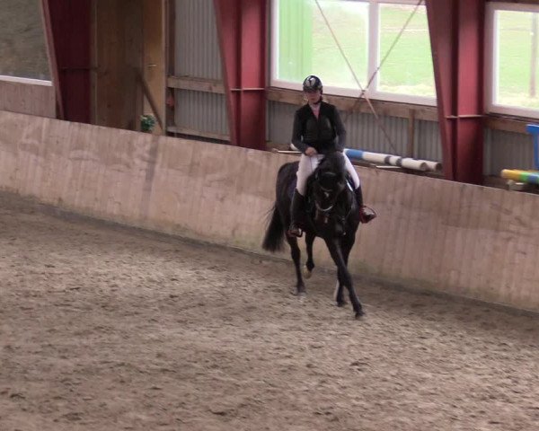 Reitturnier Süderlügum 2023