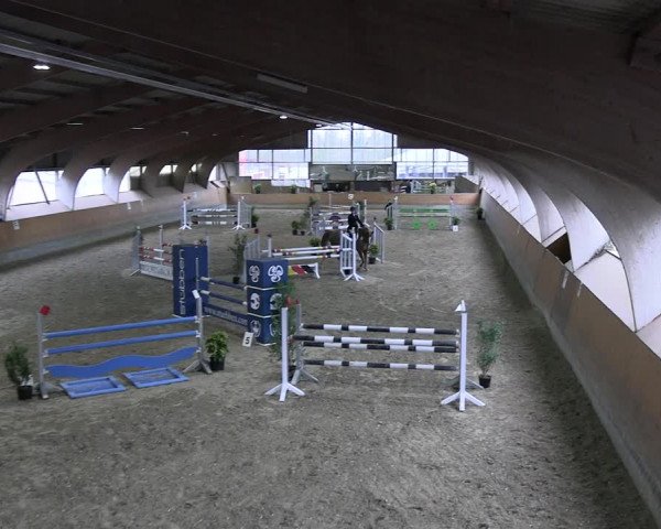 Reitturnier Ratingen 2023