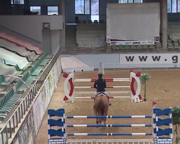 Reitturnier Kreuth 2023