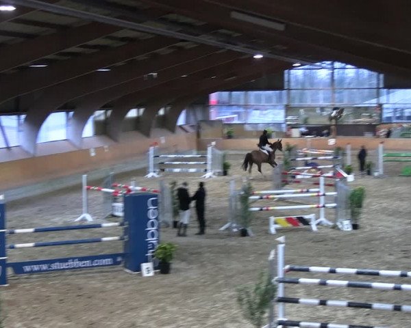 Reitturnier Ratingen 2023