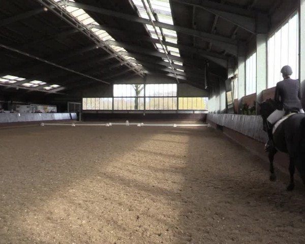 Reitturnier Greven 2023