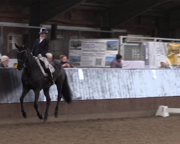 Reitturnier Greven 2023