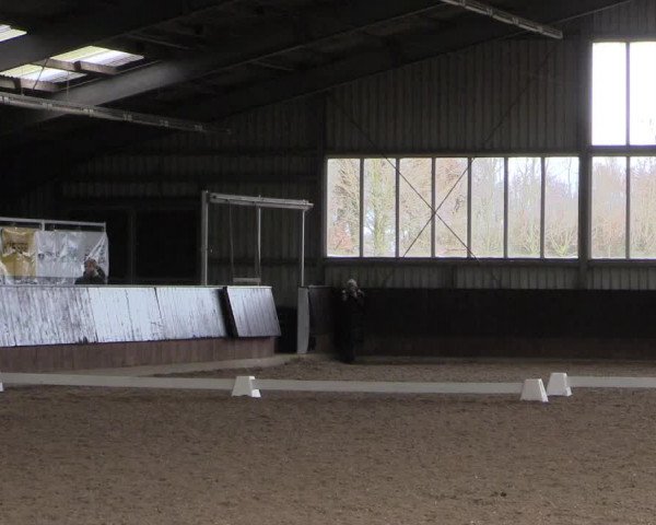 Reitturnier Greven 2023