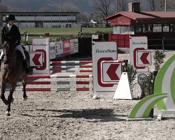 Reitturnier Giubiasco 2023