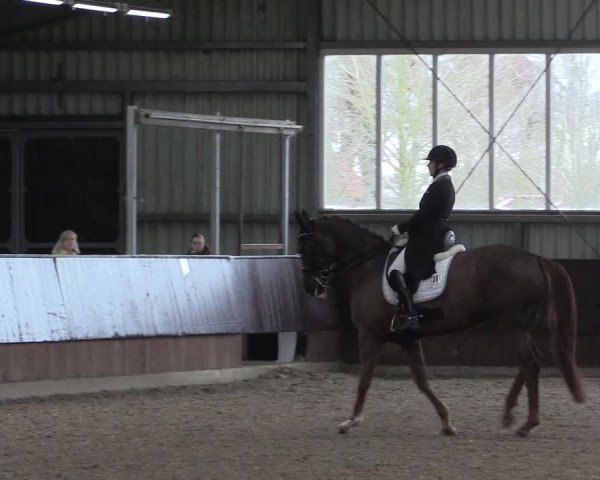 Reitturnier Greven 2023