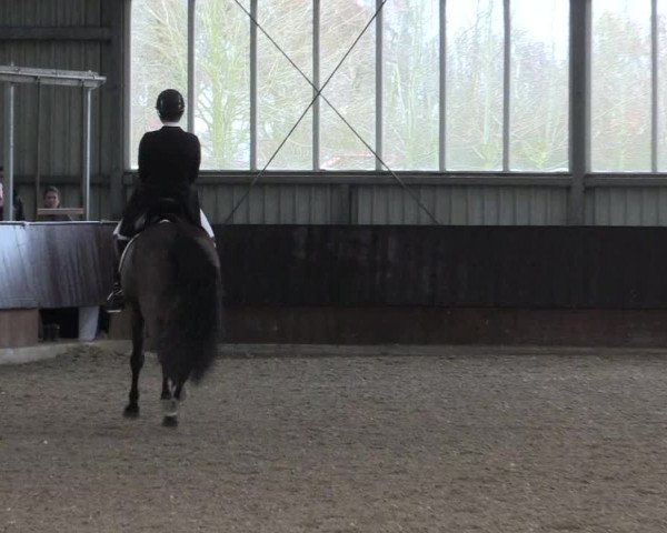Reitturnier Greven 2023