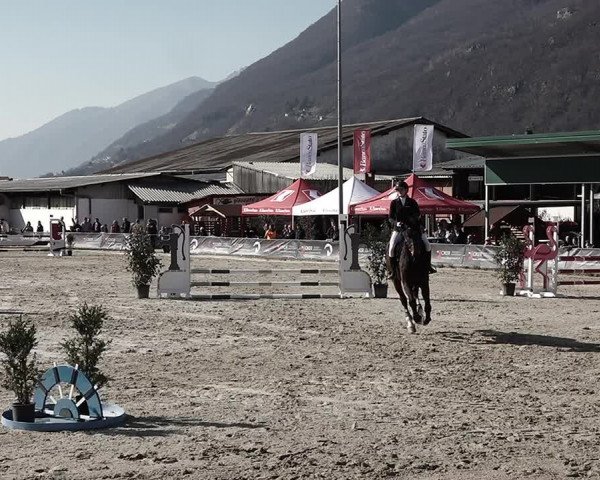 Reitturnier Giubiasco 2023
