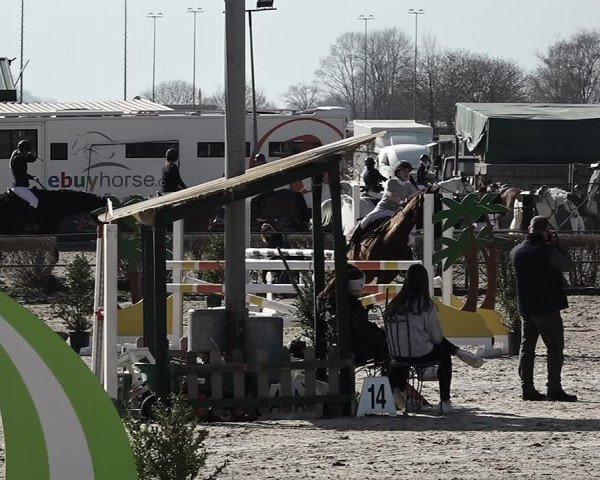 Reitturnier Giubiasco 2023