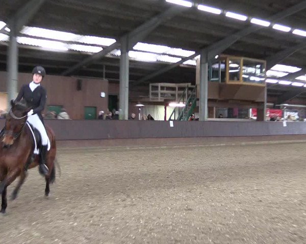 Reitturnier Greven 2023