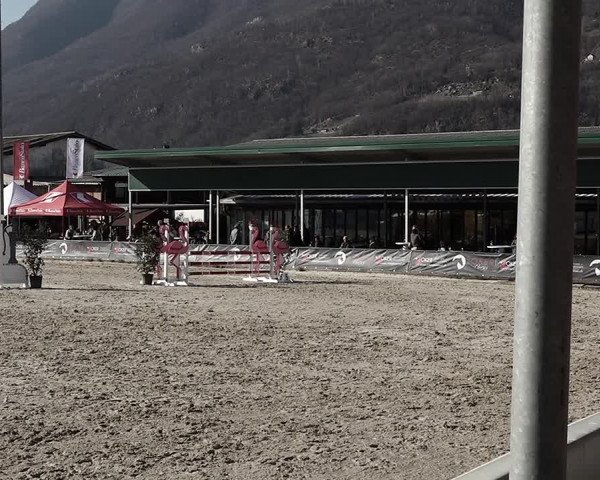 Reitturnier Giubiasco 2023