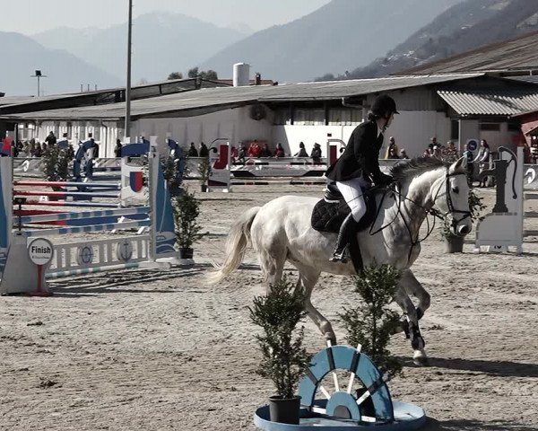 Reitturnier Giubiasco 2023