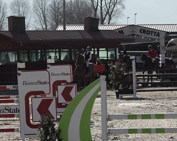 Reitturnier Giubiasco 2023