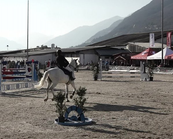Reitturnier Giubiasco 2023