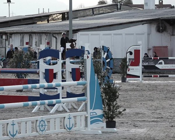 Reitturnier Giubiasco 2023